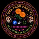 Flor de Cempasúchil